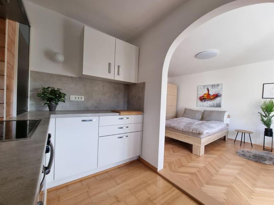 The Rowhouse Apartment Ljubljana - Free Parking Eksteriør bilde